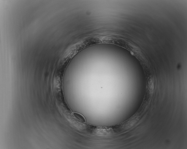 X0000116770571200912241206