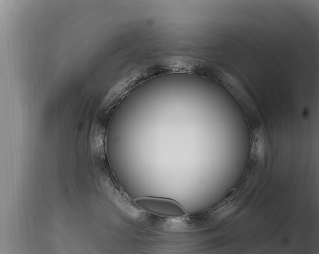 X0000116770573200912241206