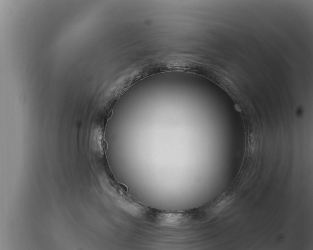 X0000116770575200912241206