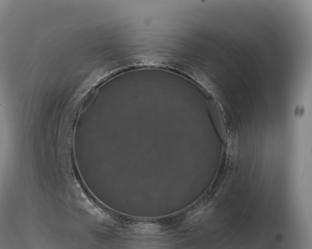 X0000116770577200912241205