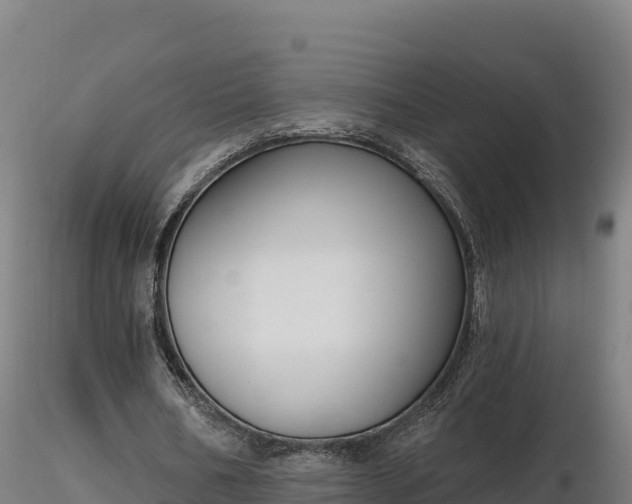 X0000116770578200912241205