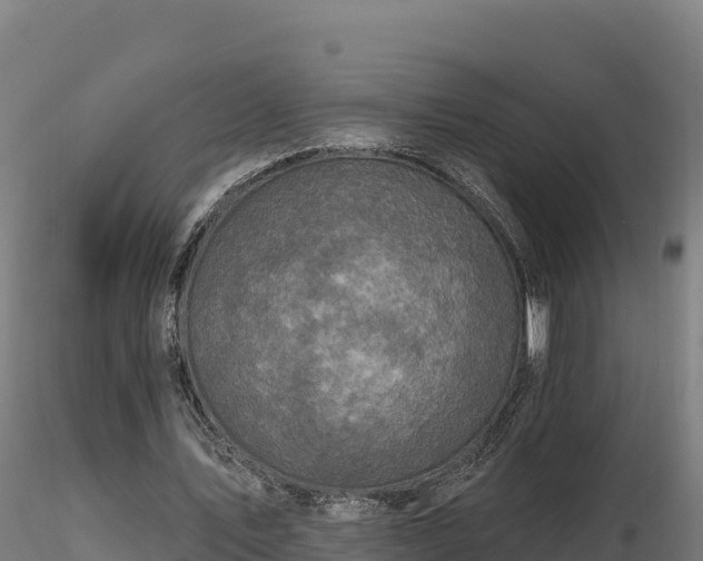 X0000116770579200912241205
