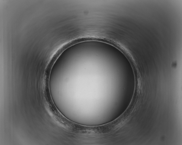 X0000116770580200912241205