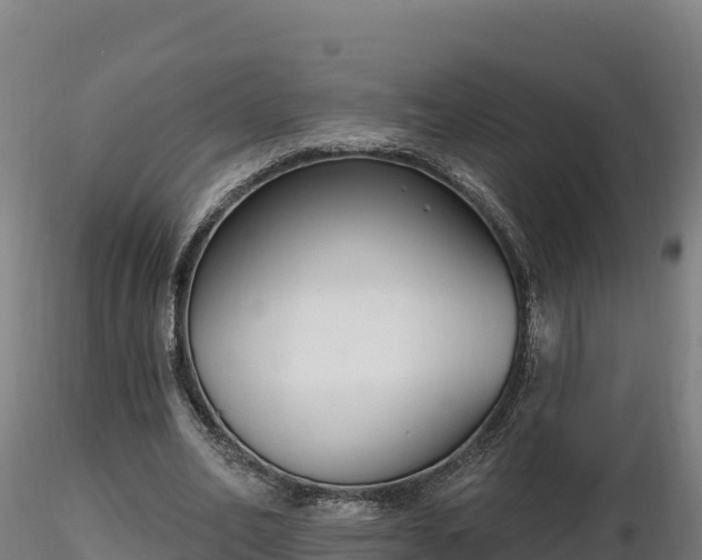 X0000116770582200912241205