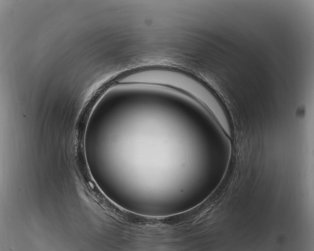 X0000116770583200912241205