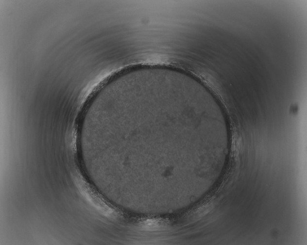 X0000116770584200912241205