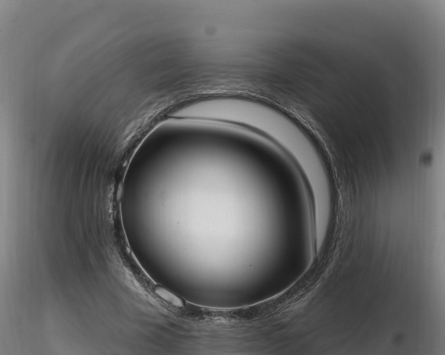 X0000116770585200912241205