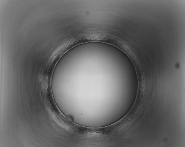 X0000116770586200912241205