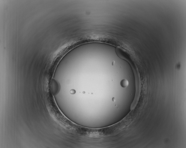 X0000116770587200912241205