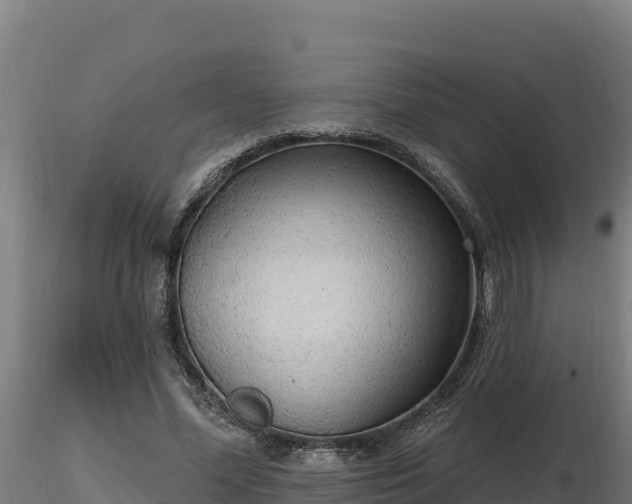 X0000116770588200912241205