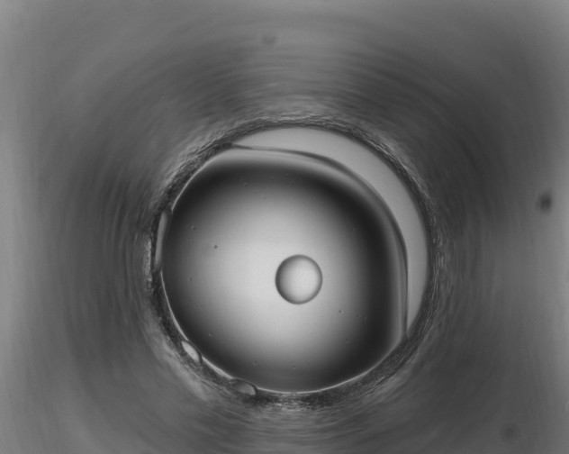 X0000116770589200912241205