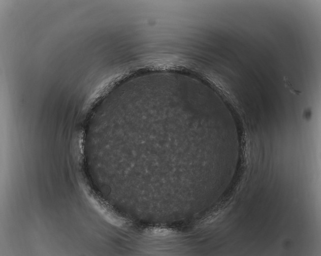 X0000116770590200912241205