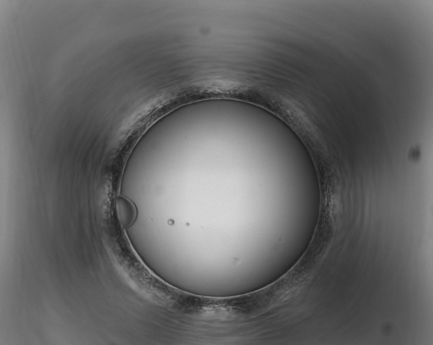 X0000116770591200912241205