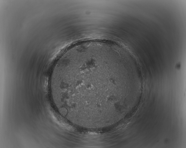 X0000116770592200912241205