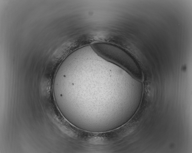 X0000116770593200912241205