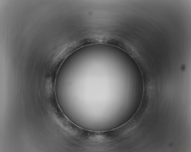 X0000116770594200912241205