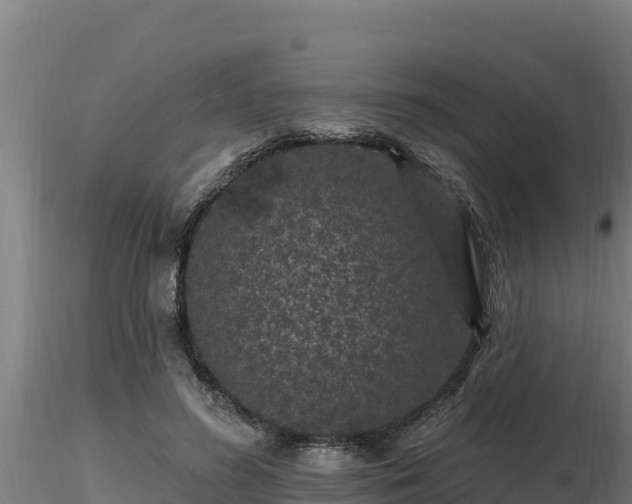 X0000116770596200912241205