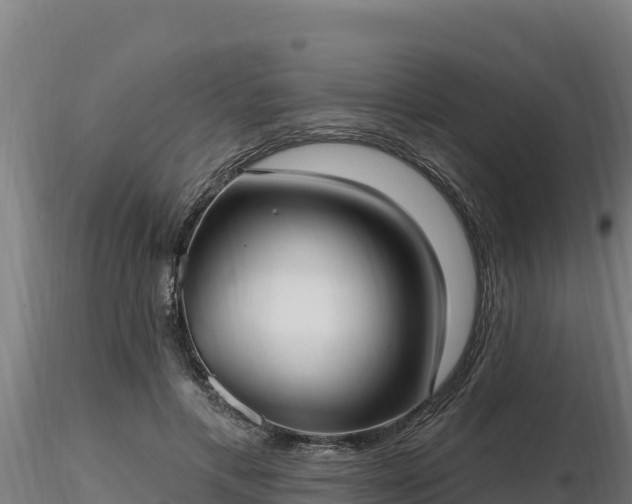 X0000116770597200912241205