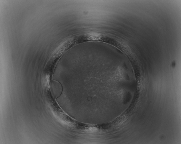 X0000116770598200912241205