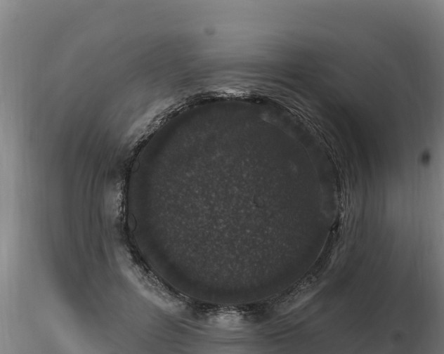 X0000116770600200912241205