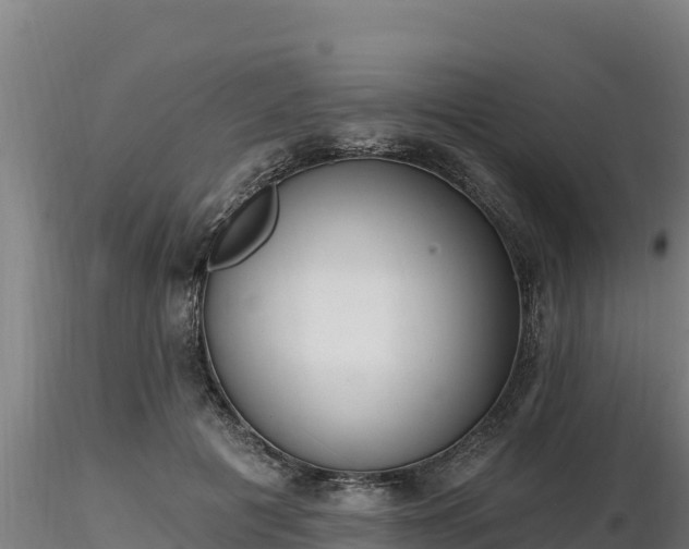 X0000116770601200912241205