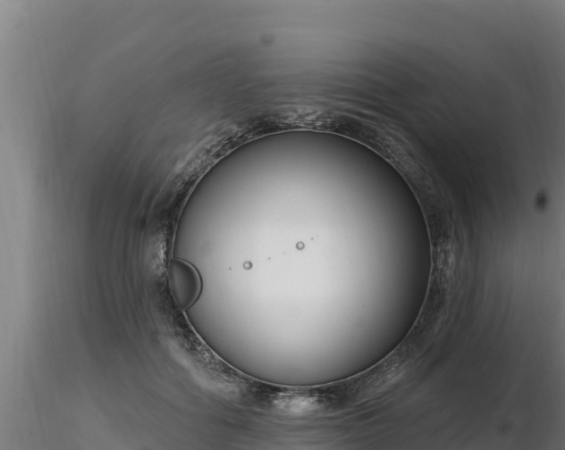 X0000116770602200912241205