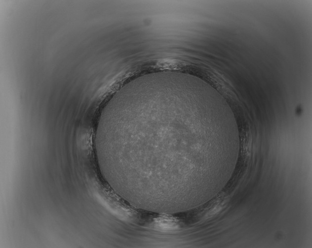 X0000116770603200912241205