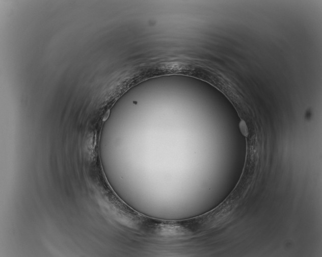 X0000116770605200912241205