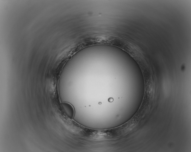 X0000116770607200912241205