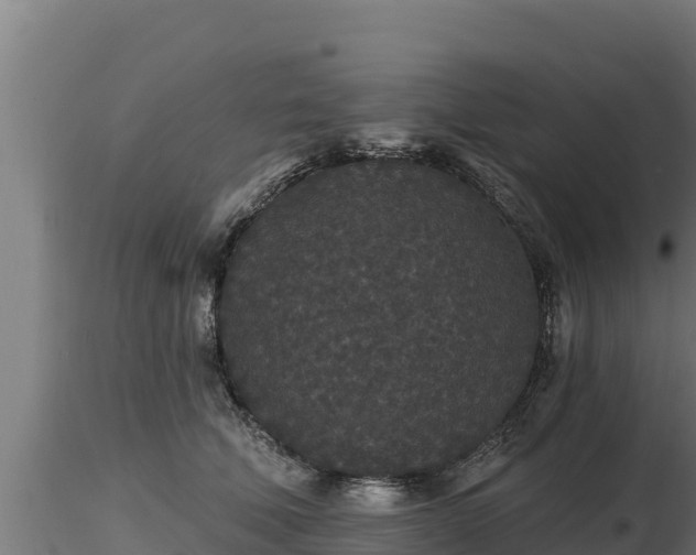 X0000116770610200912241205