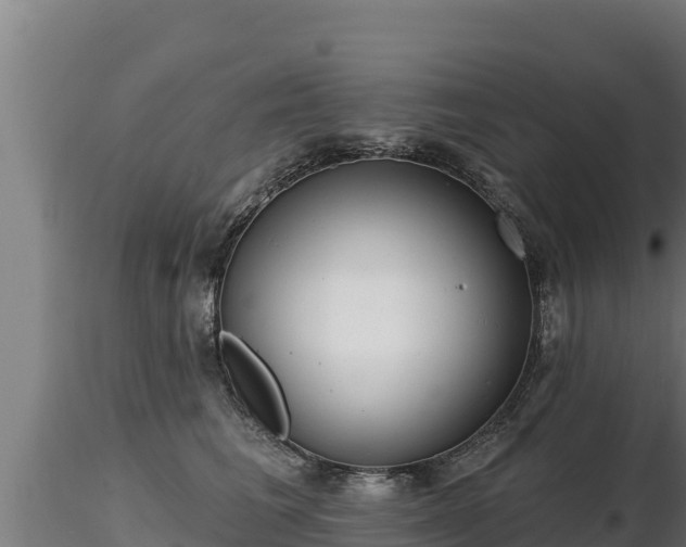 X0000116770613200912241205