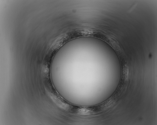 X0000116770614200912241205