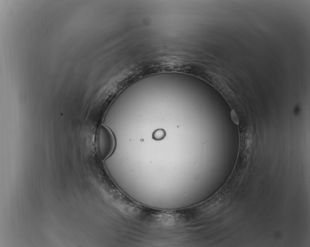 X0000116770615200912241205
