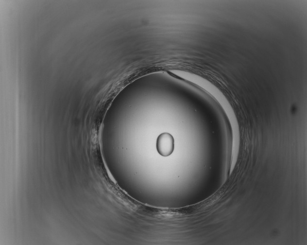 X0000116770617200912241205
