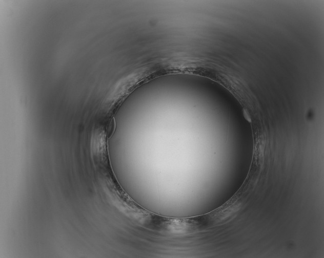 X0000116770623200912241205