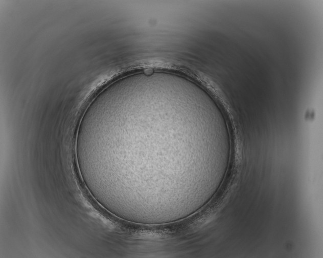 X0000116770625200912241204