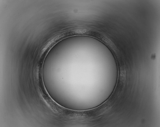 X0000116770626200912241204