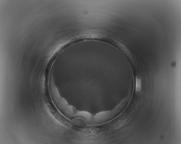 X0000116770627200912241204