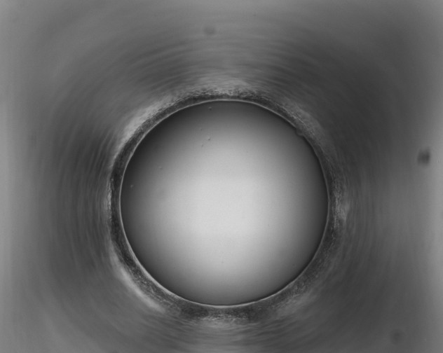 X0000116770630200912241204