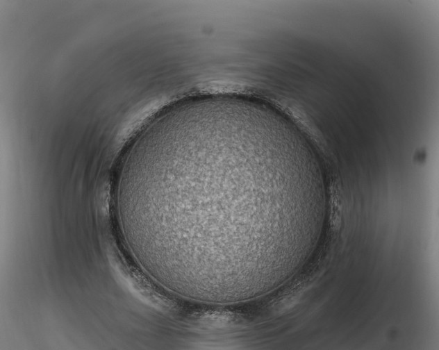 X0000116770631200912241204