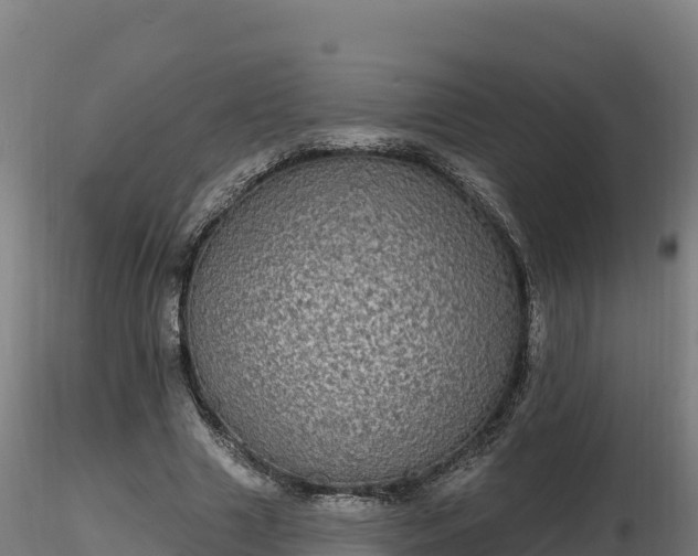 X0000116770633200912241204