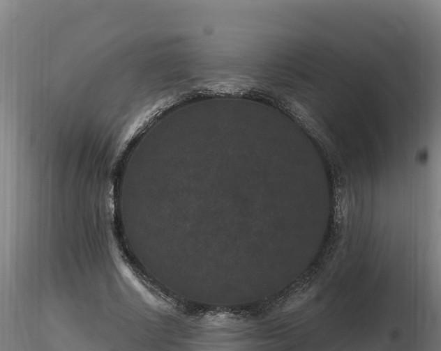 X0000116770634200912241204