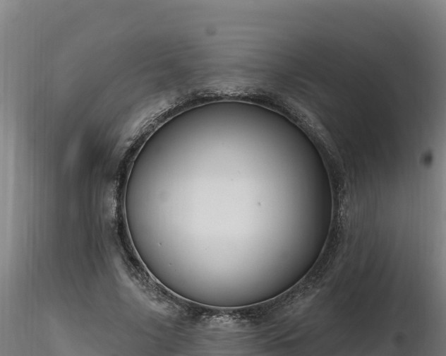 X0000116770635200912241204