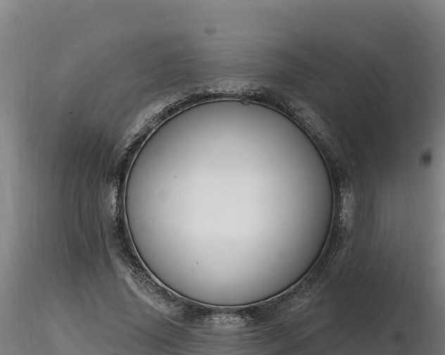 X0000116770636200912241204