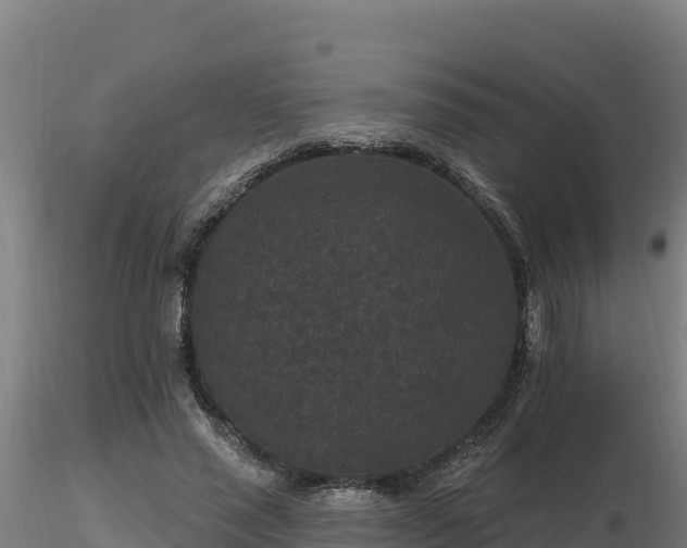 X0000116770637200912241204
