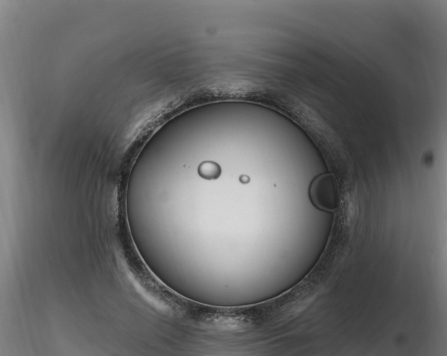 X0000116770638200912241204
