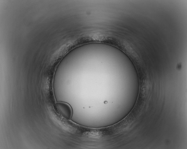 X0000116770639200912241204
