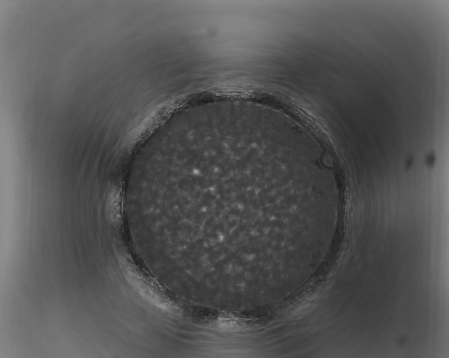 X0000116770641200912241204