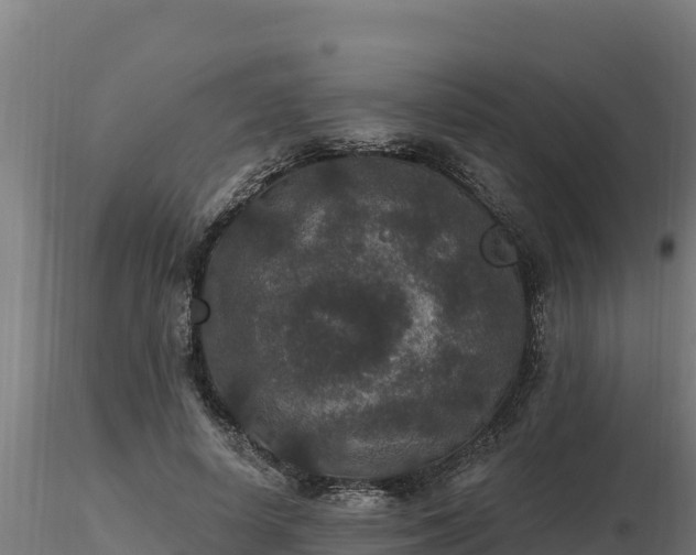 X0000116770642200912241204