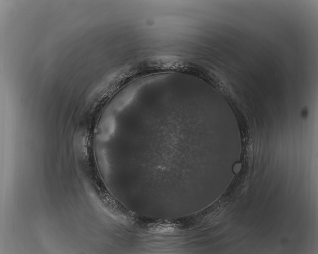X0000116770643200912241204